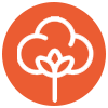 Cotton Icon